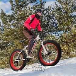 26 in 4W Fat Tire Mountain Bike 21 Speed Bicycle High-Tensile Steel Frame MTB
