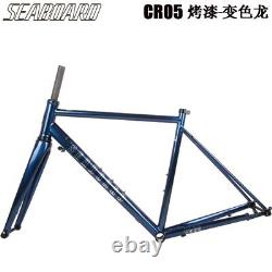 700C Road Bicycle Frame with Carbon Fork Disc Brake 10012mm 14212mm Thru Axle