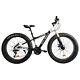 -fat Tire Bike For Mountain/snowithroad, 26inch Wheels, 21speed, Steel Frame
