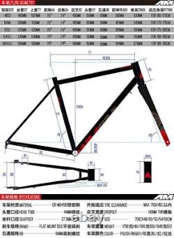 GRAVEL Off-Road Racing Bike CR-MO Frame With Carbon Fork Thru 12X100 10X141 Road