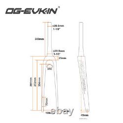 OG-EVKIN FK008 Carbon Disc Gravel Fork 12x100 for Road Bike Frame Hidden Cable