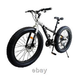 Vélo à gros pneus pour montagne/neige/chemin, 26 pouces 21 vitesses, cadre en acier, noir