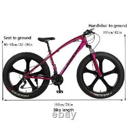 Vélo de montagne à pneus gras de 26 pouces, vélo de 21 vitesses, cadre en acier à haute résistance, tout-terrain